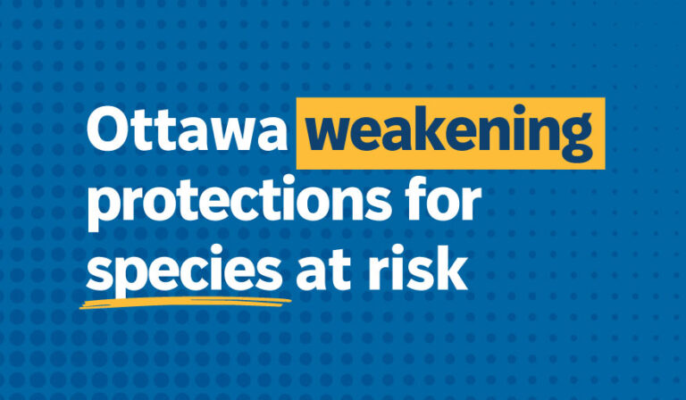 Joint Media Statement — Ottawa must strengthen, not weaken, protections for species at risk
