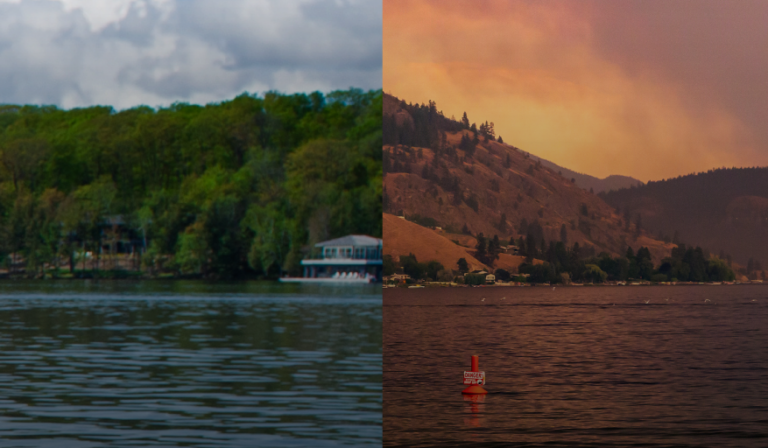Press Release: More wildfires. Fewer Experts. PIPSC action warns of climate cuts