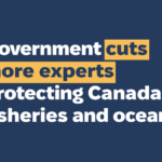 Press Release: Government cuts programs it recently pledged to strengthen