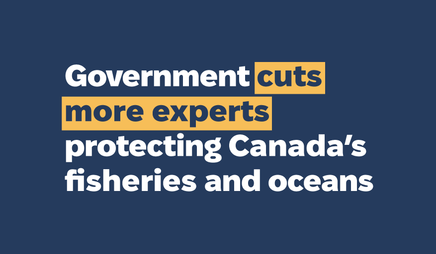 Press Release: Government cuts programs it recently pledged to strengthen