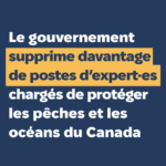Communiqué de presse : Le gouvernement supprime des programmes qu’il s’était récemment engagé à renforcer