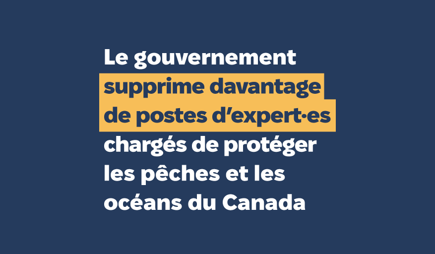 Le gouvernement supprime davantage de postes d'expert(es) chargés de protéger les pêches et les océans du Canada