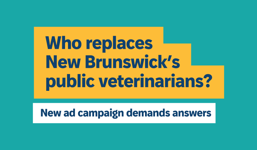 Who replaces New Brunswick’s public veterinarians? New ad campaign demands answers