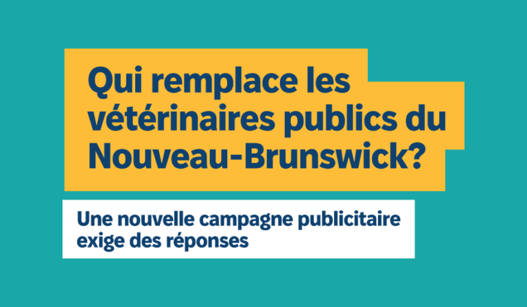 Qui remplace les vétérinaires publics du Nouveau-Brunswick? Une nouvelle campagne publicitaire exige des réponses 